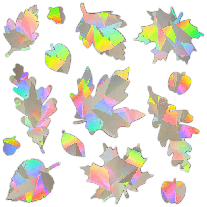 Fall Leaves