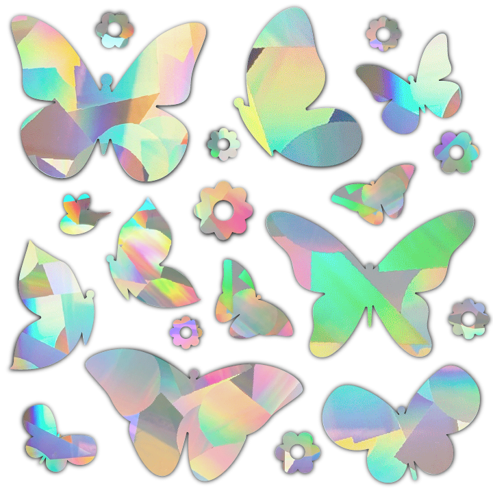 Butterfly Garden