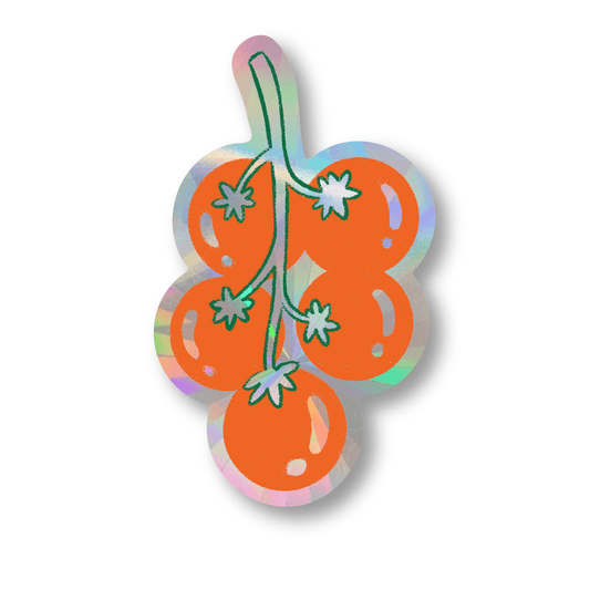 Garden Suncatchers | Rainbow Sticker Set