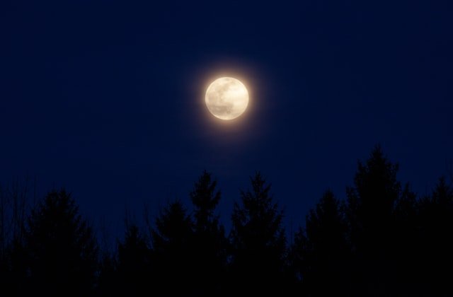 The Year of Supermoons: Everything You Need to Know About Them