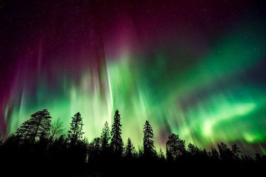 what makes northern lights