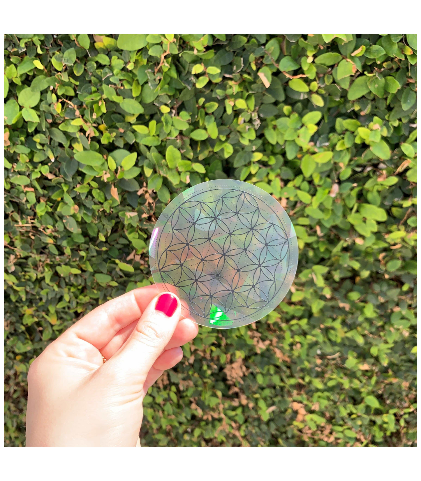 Sacred Geometry Suncatcher Set | Rainbow Decals Set