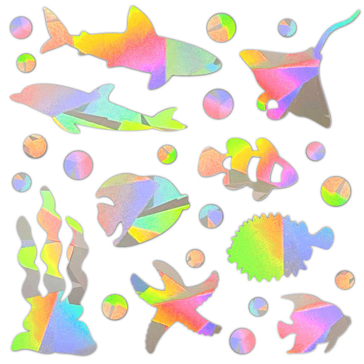 Under the Sea